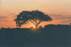Animated Africa