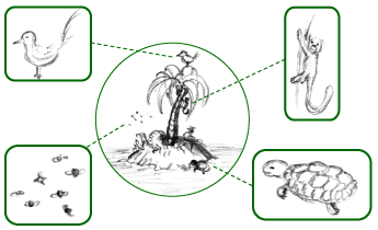 Simplified schematic of an island's fauna with all its animal species, highlighted in boxes.
