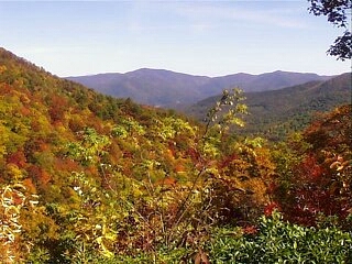 Fall in the Chattahoochee National Forest