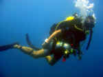 ScubaDivingShot.jpg