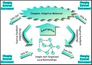 A way of modeling Complex Adaptive System