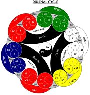 Five Chinese Elements--Diurnal Cycle.