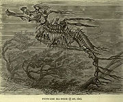 'Fucus like seahorse' from Lydekker's The Royal Natural History