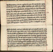 rigveda devanagari nineteenth manuscript century early