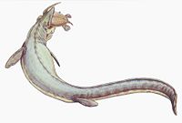 Mosasaurus.
