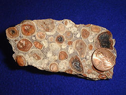 A sample of bauxite, placed next to a penny.