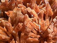 Gypsum from New South Wales, Australia.
