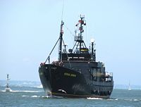 MV Steve Irwin approaching Melbourne in February 2008