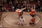 A Yokozuna blessing the ring prior to the matches