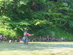 Flyfishing on river Sava Bohinjka, Slovenia