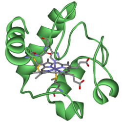 Cytochrome c.png