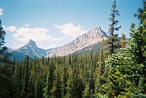 White Goat Wilderness Area, Rocky Mountains, Alberta, Canada
