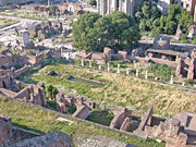 House of the Vestals and Temple of Vesta from the Palatine.