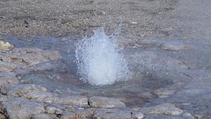 Vixen Geyser in Yellowstone