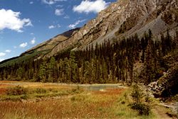 Altai, Valley Kutsherla in Altay Mountains