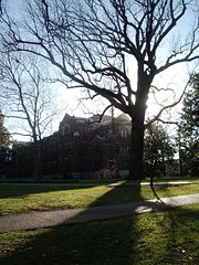 Bicentennial Oak, facing Buttrick Hall