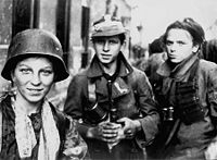 Szare Szeregi (Polish Boy Scouts) also fought in the Warsaw Uprising.