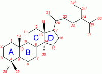 Steroids, such as cholesterol and the steroid hormones, are characterized by a carbon skeleton with four fused rings. They are distinguished by the functional groups attached to the rings.
