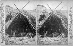 Paiute wickiup