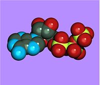 Space filling image of ATP