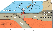 Oceanic / Oceanic