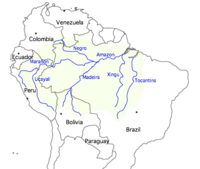 The Amazon River basin.