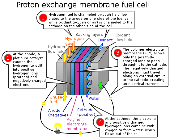 Image:PEM fuelcell.svg