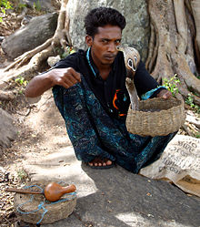 Snake Charmer in Sri Lanka