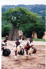 Swazi dancers. Telling a story through dance.