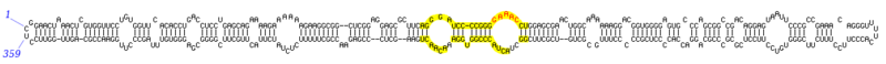 Putative secondary structure of the PSTVd viroid