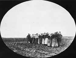Doukhobor women pulling a plough. Scenes like this occurred in the first summer of settlement, before the settlers could afford to buy livestock for making cheese.
