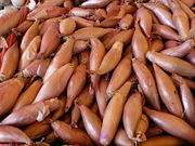 Shallots for sale in Southern France.