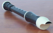 A plastic recorder.