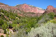Taylor Creek with Horse Ranch Mountain in background. Desert, riparian, woodland and coniferous forest habitat can be seen in this photo