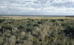 Four ancient Anasazi roads dating from 900 C.E. to 1000 C.E. converge at Chaco Canyon.