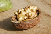 Inside of a Persian walnut with green outer layer visible in the top left corner