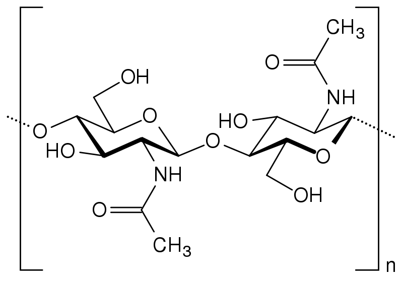 Image:Chitin.svg