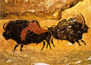 Back-to-Back Bison