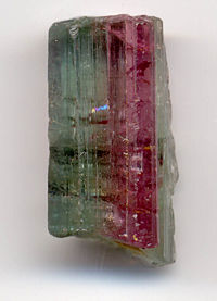 A bi-colored tourmaline crystal, 0.8 inches (2 cm) long.