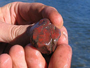 Unpolished jasper, freshly recovered from the ground.