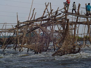 Fish trapping system of the Wagenya people in Congo