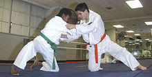When practicing ne-waza (Ground grappling), the judoka usually starts from their knees.