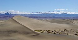 Mesquite Flat Dunes in Death Valley National Park.