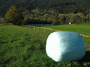 A completely wrapped silage bale in Austria.
