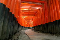 Archway formed by torii at Fushimi Inari Shrine