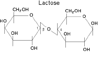 Lactose