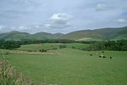 In the Southern Uplands