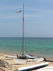 A catamaran sailboat