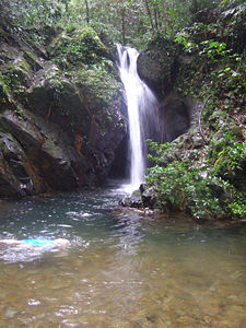 Waterfall in a tributary of South Stann Creek, Cockscomb Basin, Belize.