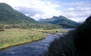 Rolling Hills and Bay in Kodiak National Wildlife Refuge